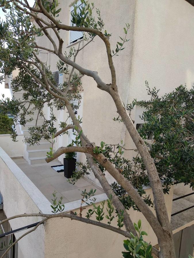 Sea View Apartment 特罗吉尔 外观 照片